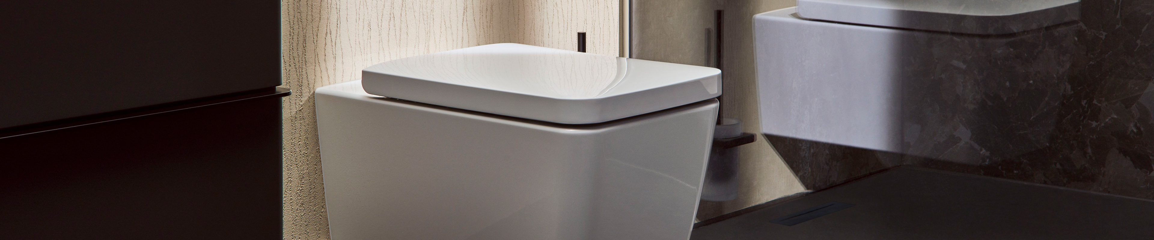 hansgrohe toilet in the geometric design language.