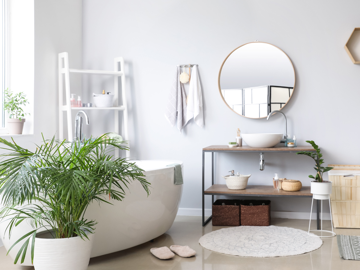 The best plants for the bathroom: From monsteras to sword ferns