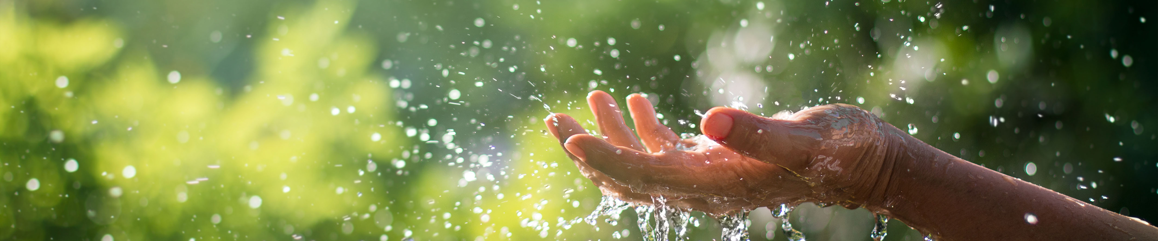 hansgrohe theme world of sustainability.